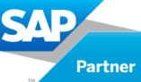 Warenursprung & Präferenzen als SAP Plug-In