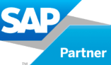 SAP Partner SAP Partner