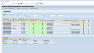 sap-plug-in-shipping overview 3