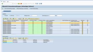 SAP Plug-In Versand Übersicht