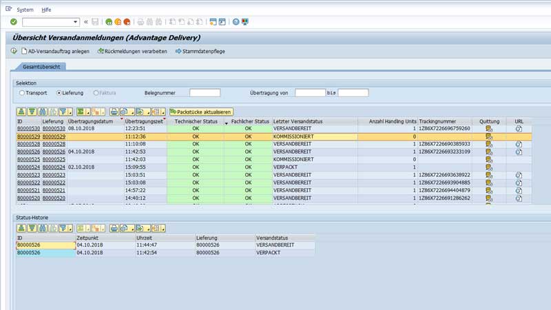 SAP Plug-In Shipping 1