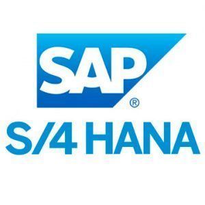 SAP Plug-In Import 1 SAP S/4 Hana Logo