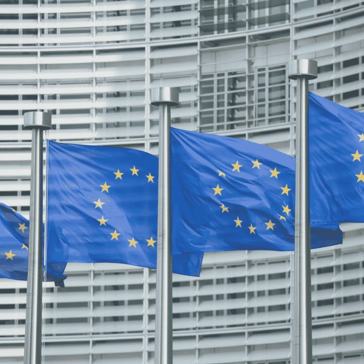 Leitlinien und Anleitungen zum Unionszollkodex