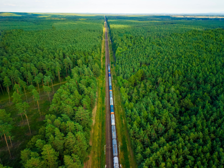 Außenhandel global und nachhaltig denken