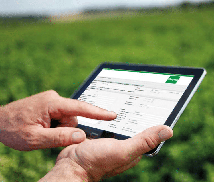 BayWa AG: Optimiert mit dbh Prozess für Lieferantenerklärungen