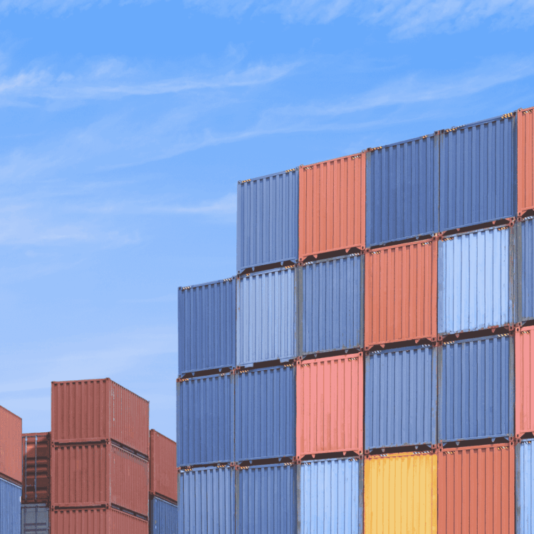 REX – Registrierter Ausführer