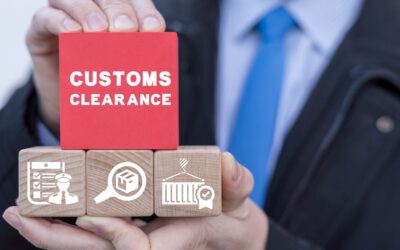 Zentrale Zollabwicklung Einfuhr (CCI): Vorteile, Ablauf und Herausforderungen