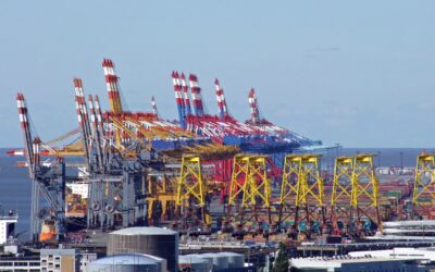 Digitalisiertes Freistellungsverfahren in den deutschen Seehäfen läuft vom Stapel