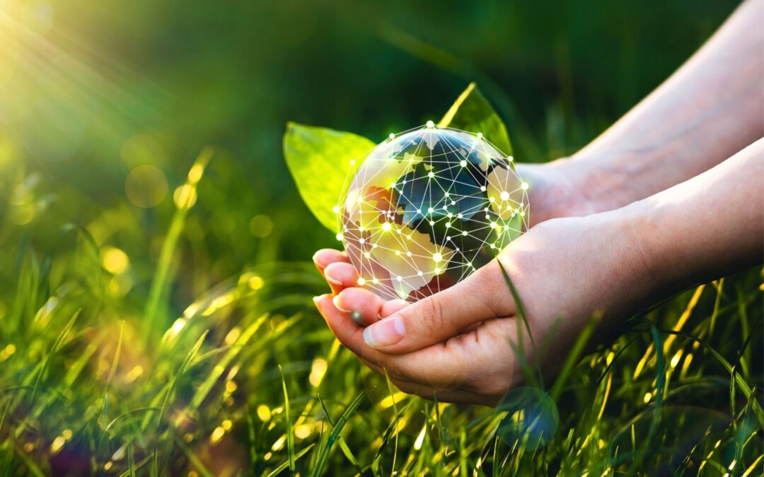 Aktuelles 45 Außenhandel global und nachhaltig denken