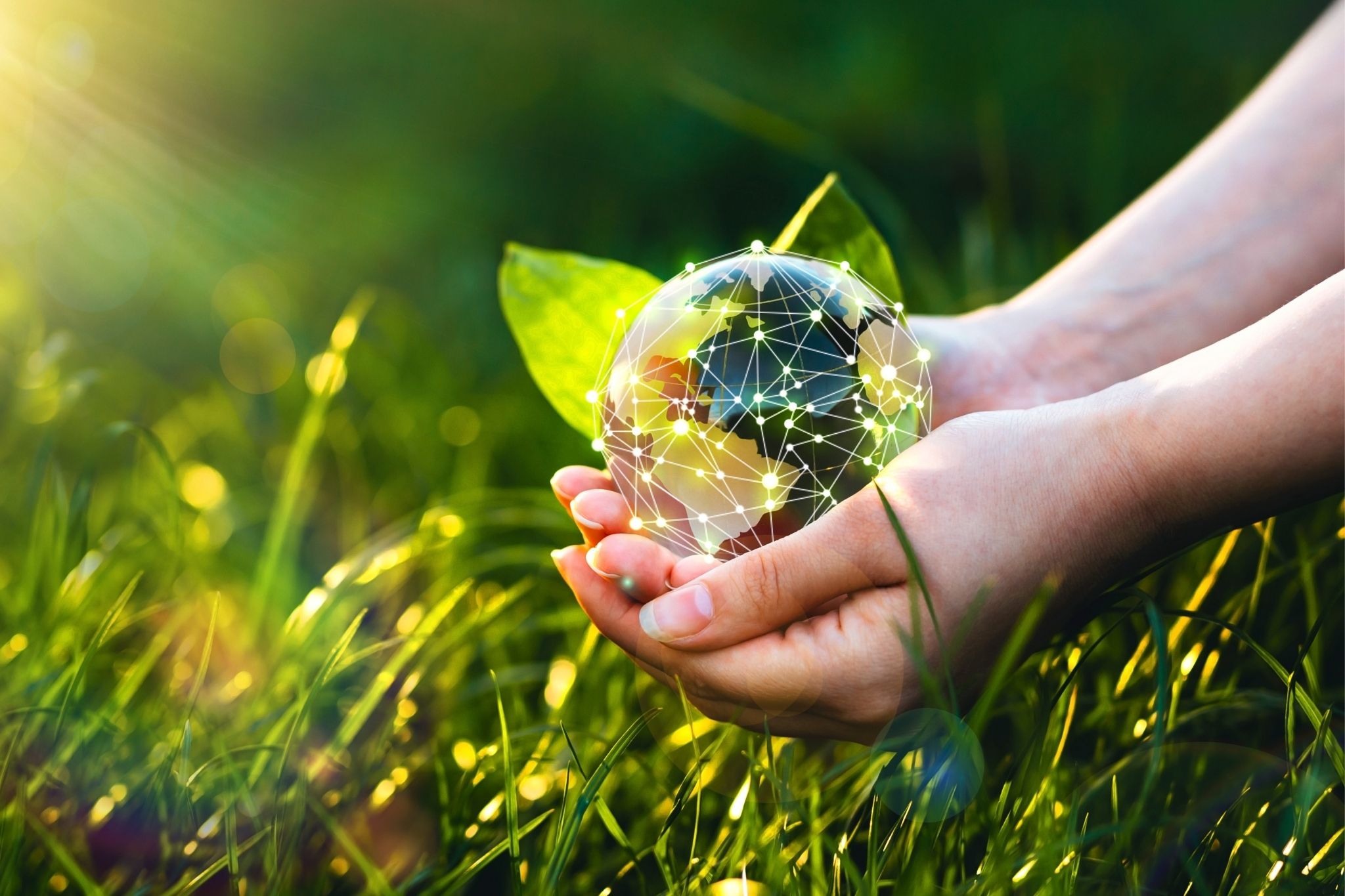 Webinar Versandsoftware